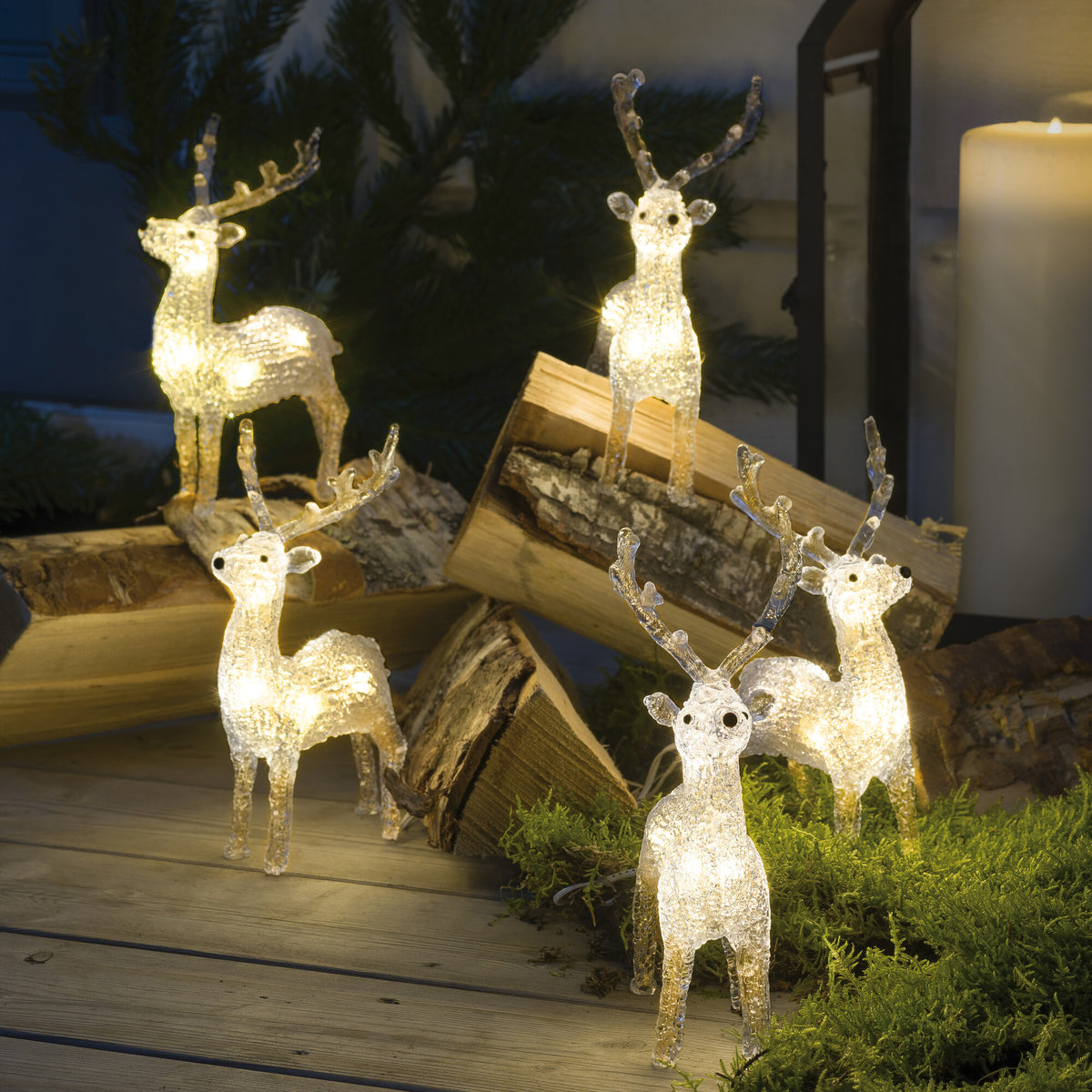 LED-Rentiere | 5er-Set | Acryl transparent | Warmweiß