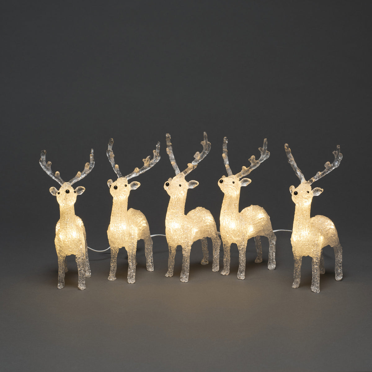 LED-Rentiere | 5er-Set | Acryl transparent | Warmweiß