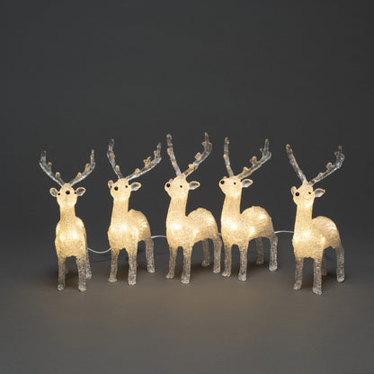 LED-Rentiere | 5er-Set | Acryl transparent | Warmweiß